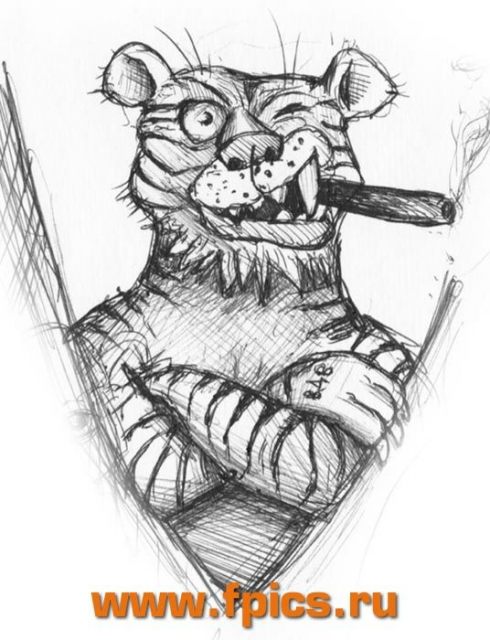 Тигр с сигарой